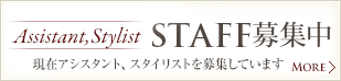 アシスタント、スタイリストスタッフ募集中