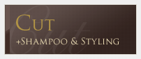 CUT +Shampoo & Styling
